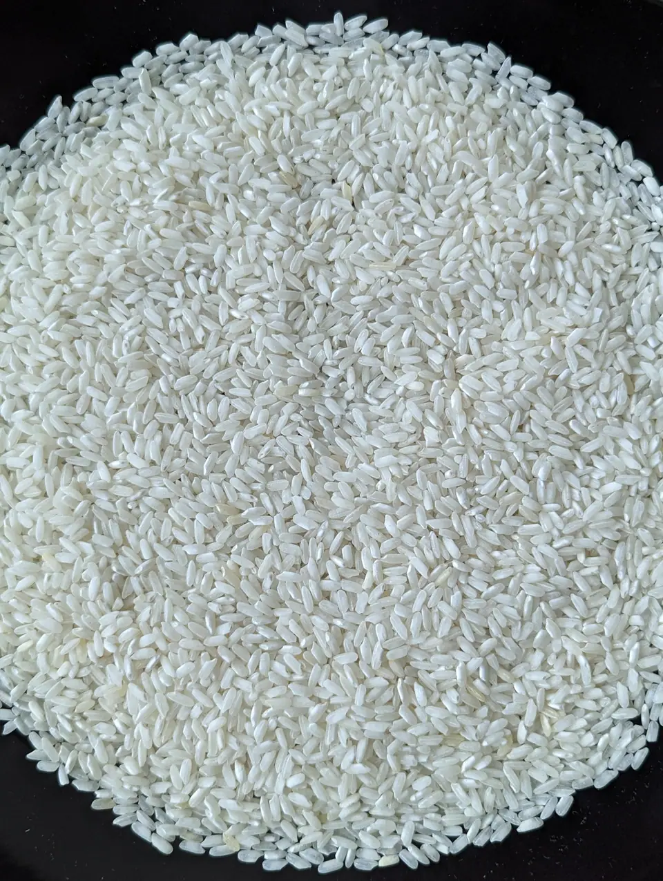 Granos de arroz blanco crudo extendidos sobre fondo oscuro
