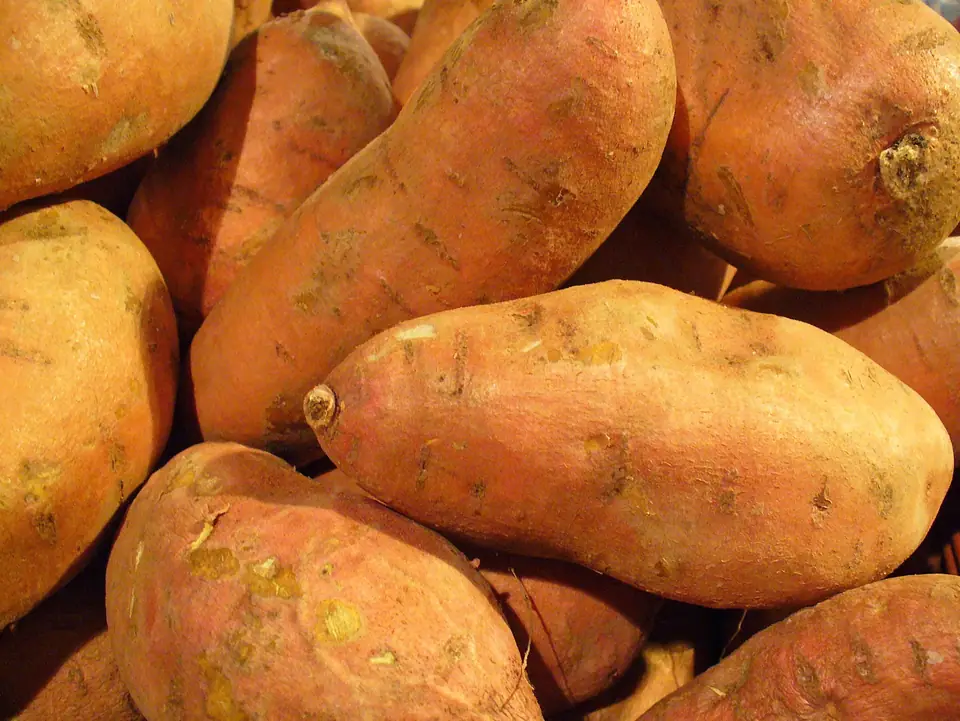 Batatas enteras de cáscara anaranjada apiladas