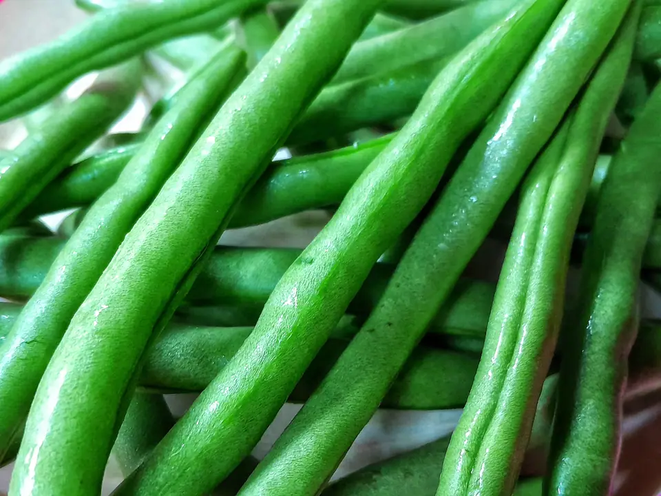 Primer plano de chauchas verdes frescas y enteras