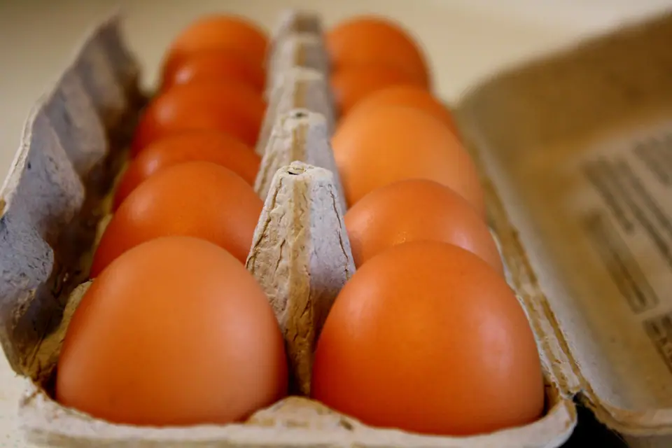 Huevos de cáscara marrón en su maple de cartón